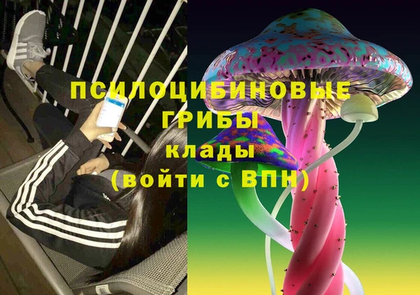 дживик Волосово